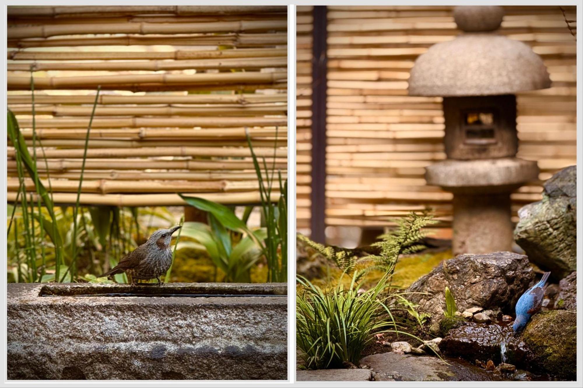 Ryokan Tori Quioto Quarto foto